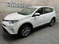 Toyota RAV 4 2,5 Hybrid Active Weiß - thumbnail 2