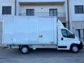 Citroen Jumper 35 L4 Blue H Di 165cv Cassa Alluminio Bianco - thumbnail 11