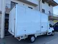 Citroen Jumper 35 L4 Blue H Di 165cv Cassa Alluminio Bianco - thumbnail 9