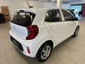 Kia Picanto 1.0 12V 5 porte Urban Bianco - thumbnail 5