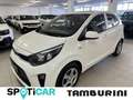 Kia Picanto 1.0 12V 5 porte Urban Bianco - thumbnail 1