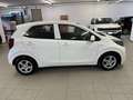 Kia Picanto 1.0 12V 5 porte Urban Bianco - thumbnail 4