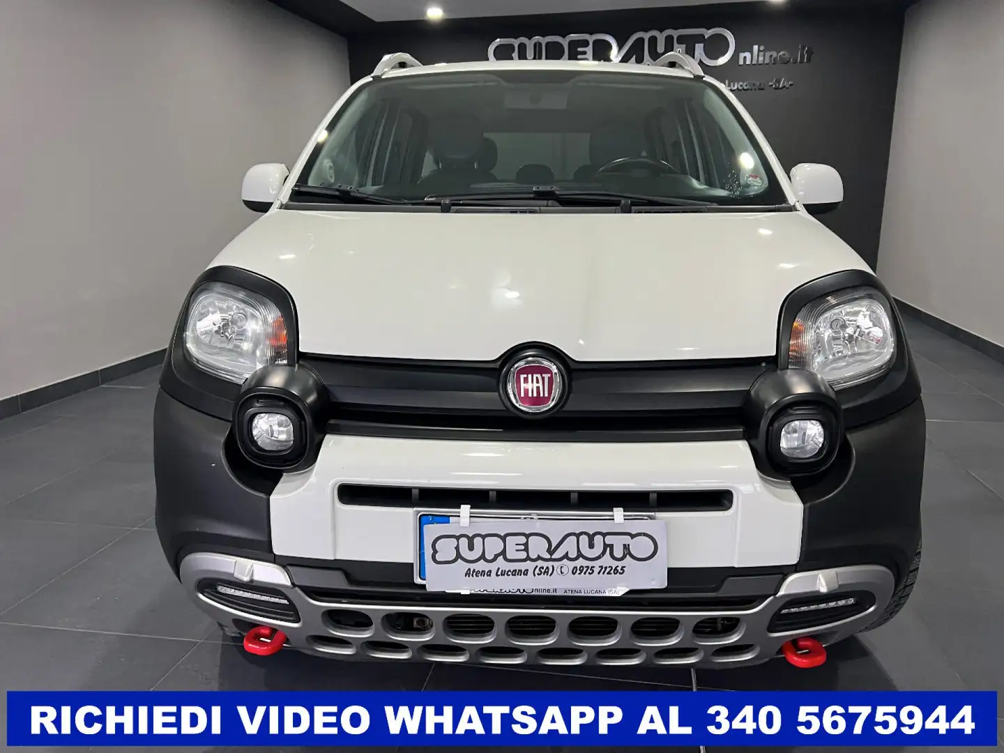 Fiat New Panda CROSS 1.3 MJT S&S 4x4 80 cv Alb - 2