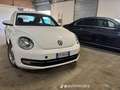 Volkswagen Maggiolino 1.6 tdi Design 105cv - thumbnail 4