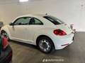 Volkswagen Maggiolino 1.6 tdi Design 105cv - thumbnail 2