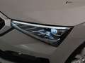 Skoda Scala 1.0 TSI Business Edition Luxe (APPLE CARPLAY,LED,S Grau - thumbnail 9