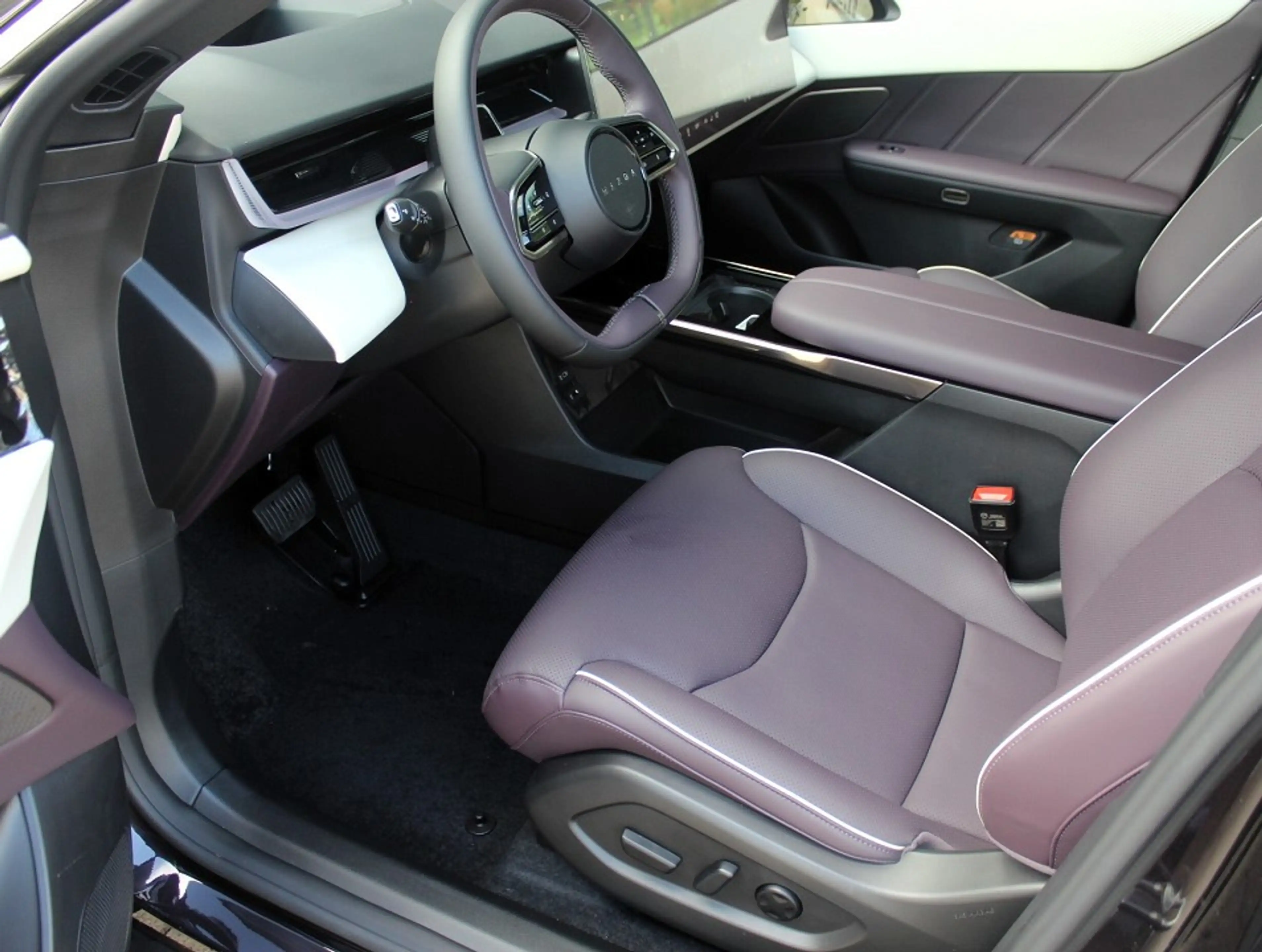 Mazda CX-6e EV-258 Takumi Plus *AHK* DIGI. SPIEGEL 21" PANO — photo 11