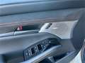 Mazda 3 e-Skyactiv-G150 Nagisa AHV,WR,Sportauspuff - thumbnail 6