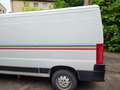 Fiat Ducato 11 2.0 mit Anhängerkupplung White - thumbnail 4