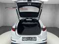 Kia ProCeed / pro_cee'd 1.5 GT Line Panoramadach/Rückfahrkamera Blanco - thumbnail 14