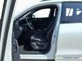 Volkswagen Tiguan 1.5 eTSI DSG R-LINE HD-MATRIX APP "20" Weiß - thumbnail 4