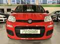 Fiat Panda 1.2 Easy s - PROMO FINANZIAMENTO Rosso - thumbnail 2