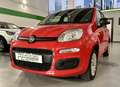 Fiat Panda 1.2 Easy s - PROMO FINANZIAMENTO Rosso - thumbnail 1