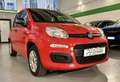Fiat Panda 1.2 Easy s - PROMO FINANZIAMENTO Rosso - thumbnail 3