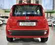 Fiat Panda 1.2 Easy s - PROMO FINANZIAMENTO Rosso - thumbnail 6