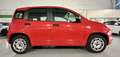 Fiat Panda 1.2 Easy s - PROMO FINANZIAMENTO Rosso - thumbnail 4
