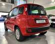 Fiat Panda 1.2 Easy s - PROMO FINANZIAMENTO Rosso - thumbnail 7