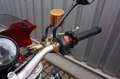 Ducati Monster S4R - Rot - thumbnail 9