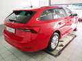Skoda Octavia 4x4 Ambition TDI DSG Rot - thumbnail 6