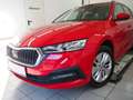 Skoda Octavia 4x4 Ambition TDI DSG Rot - thumbnail 3