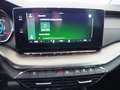 Skoda Octavia 4x4 Ambition TDI DSG Rot - thumbnail 13