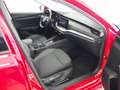 Skoda Octavia 4x4 Ambition TDI DSG Rot - thumbnail 20