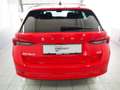 Skoda Octavia 4x4 Ambition TDI DSG Rot - thumbnail 5