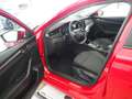 Skoda Octavia 4x4 Ambition TDI DSG Rot - thumbnail 7
