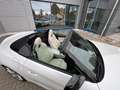 BMW Z4 Roadster sDrive 30 i M Sport/Head-Up Weiß - thumbnail 12