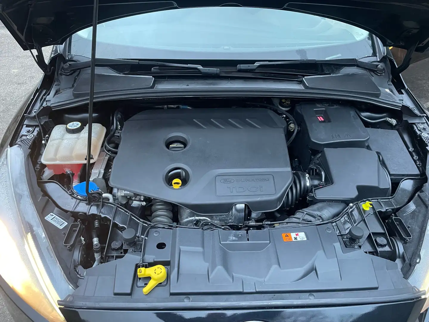 Ford Focus SW 1.5 tdci Titanium X s&s 120cv - 2