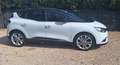 Renault Scenic Scenic 2018 1.5 dci energy Sport Edition2 110cv Bianco - thumbnail 5