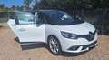 Renault Scenic Scenic 2018 1.5 dci energy Sport Edition2 110cv Bianco - thumbnail 3