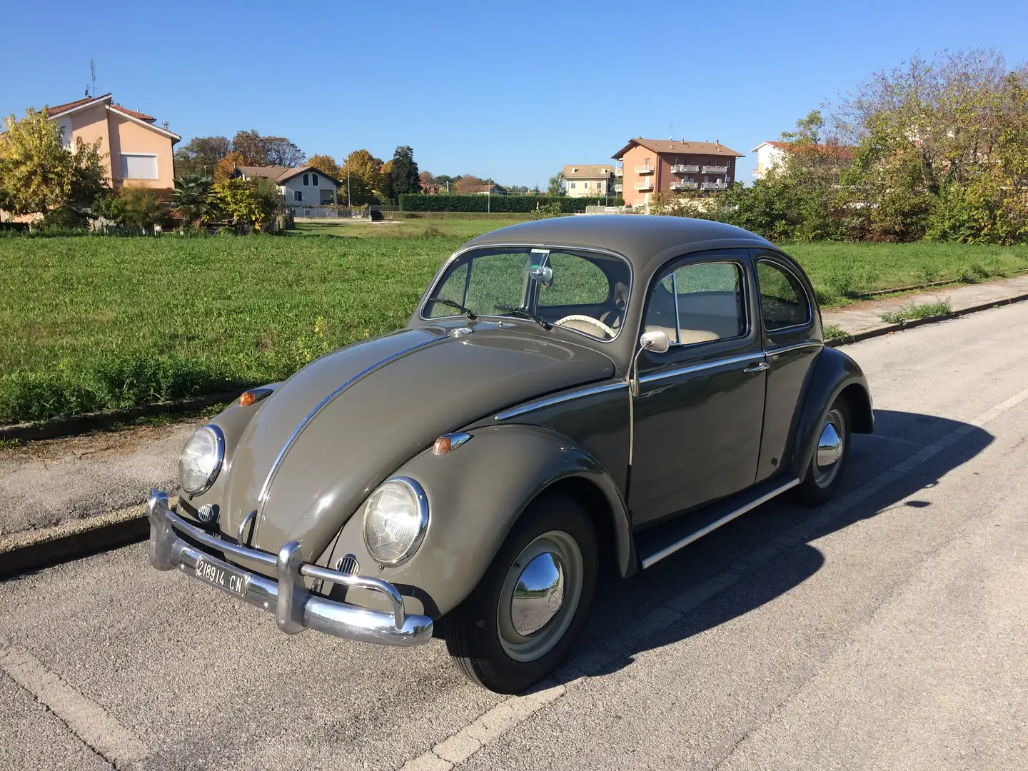 Volkswagen Maggiolino Grigio - 2