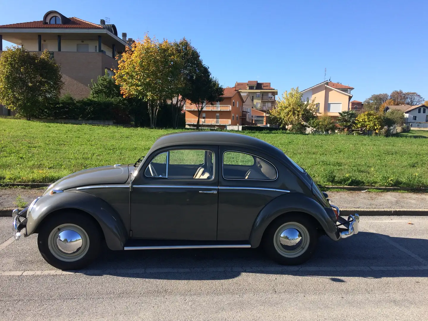 Volkswagen Maggiolino Gri - 1