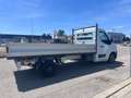 Renault Master 2.3 dCi 135 CV CASSONE FISSO Bianco - thumbnail 5