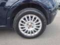 Fiat Punto 1.3 MultiJet Street 95cv S&S EU6 Blue - thumbnail 8