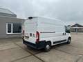 Fiat Ducato L3H2 Blanc - thumbnail 7