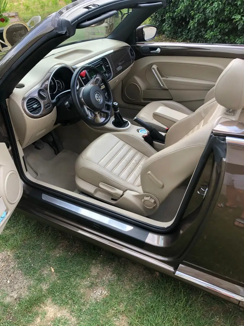 Volkswagen Beetle Cabrio Marrone - 2