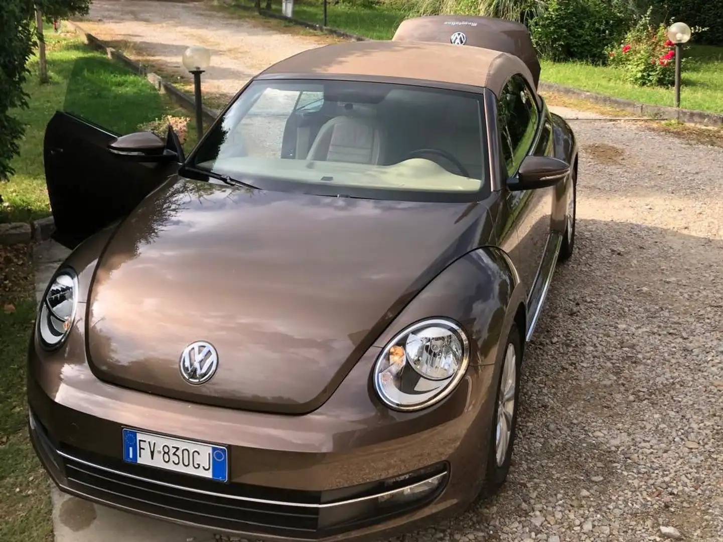 Volkswagen Beetle Cabrio Marrone - 1