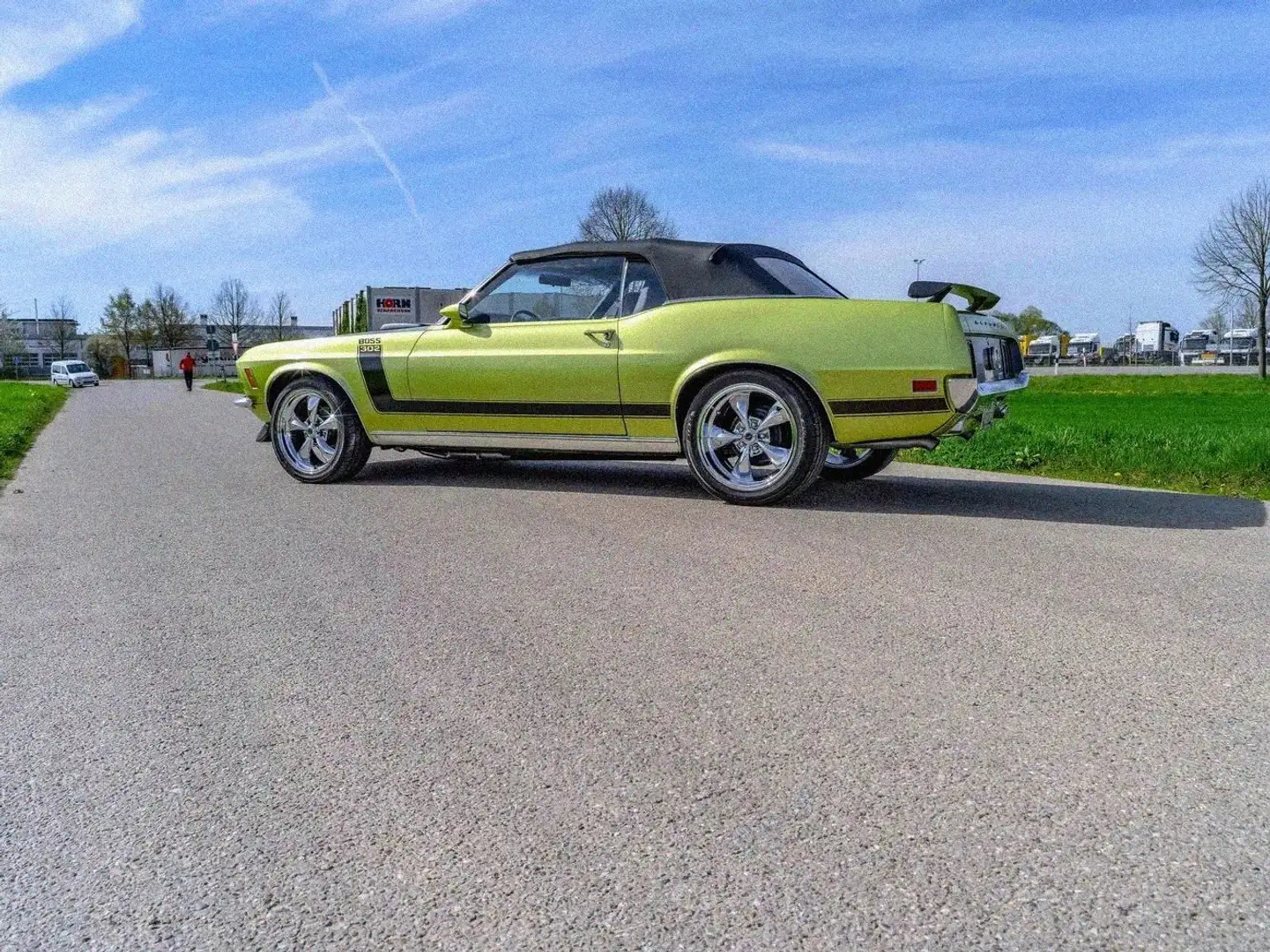 Ford Mustang Mustang Boss 302 Grün - 2