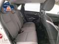 Honda Jazz crosstar 1.5 hev executive bicolor ecvt - thumbnail 9