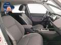 Honda Jazz crosstar 1.5 hev executive bicolor ecvt - thumbnail 10