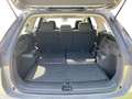 Skoda Kodiaq Selection 2,0 TDI DSG 4x4 Navi+Pano+AHK Grau - thumbnail 6