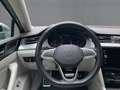 Volkswagen Passat Alltrack 2.0 TDI DSG 4M MATRIX+NAVI+AHK Grau - thumbnail 10