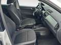 Skoda Fabia AMBITION PLUS 1,0 TSI 70 KW (95 CV) MANUAL 5 VEL. Blanco - thumbnail 5