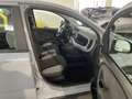 Fiat Panda 1.0 FireFly S&S Hybrid Grau - thumbnail 19