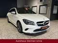 Mercedes-Benz CLA 180 Shooting Brake /Comand/Leder/LED/Pano Weiß - thumbnail 1