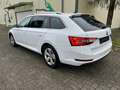 Skoda Superb Style Business Paket PDC Navi Xenon 6.Gang Blanc - thumbnail 6