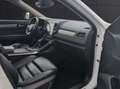 Renault Koleos 2.0dCi Initiale Paris X-Tronic 4WD 130kW Bianco - thumbnail 6