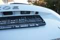 Renault ZOE Zoe Intens incl Batterie Weiß - thumbnail 12